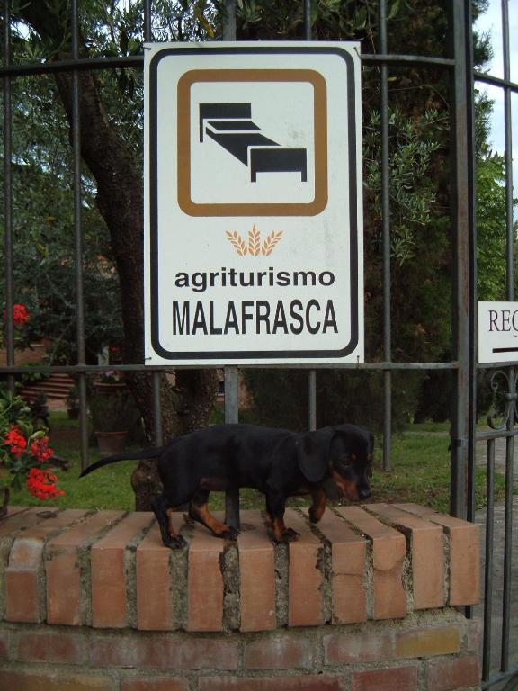 הוילה סיינה Agriturismo Malafrasca מראה חיצוני תמונה
